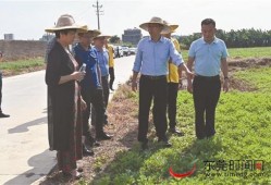 揭西今日爆料新闻视频播放,视频揭秘当地热点事件