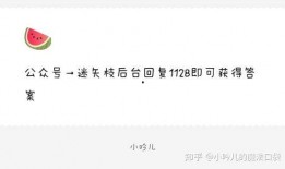 娱乐圈吃瓜爆料文字,揭秘明星背后的秘密与八卦